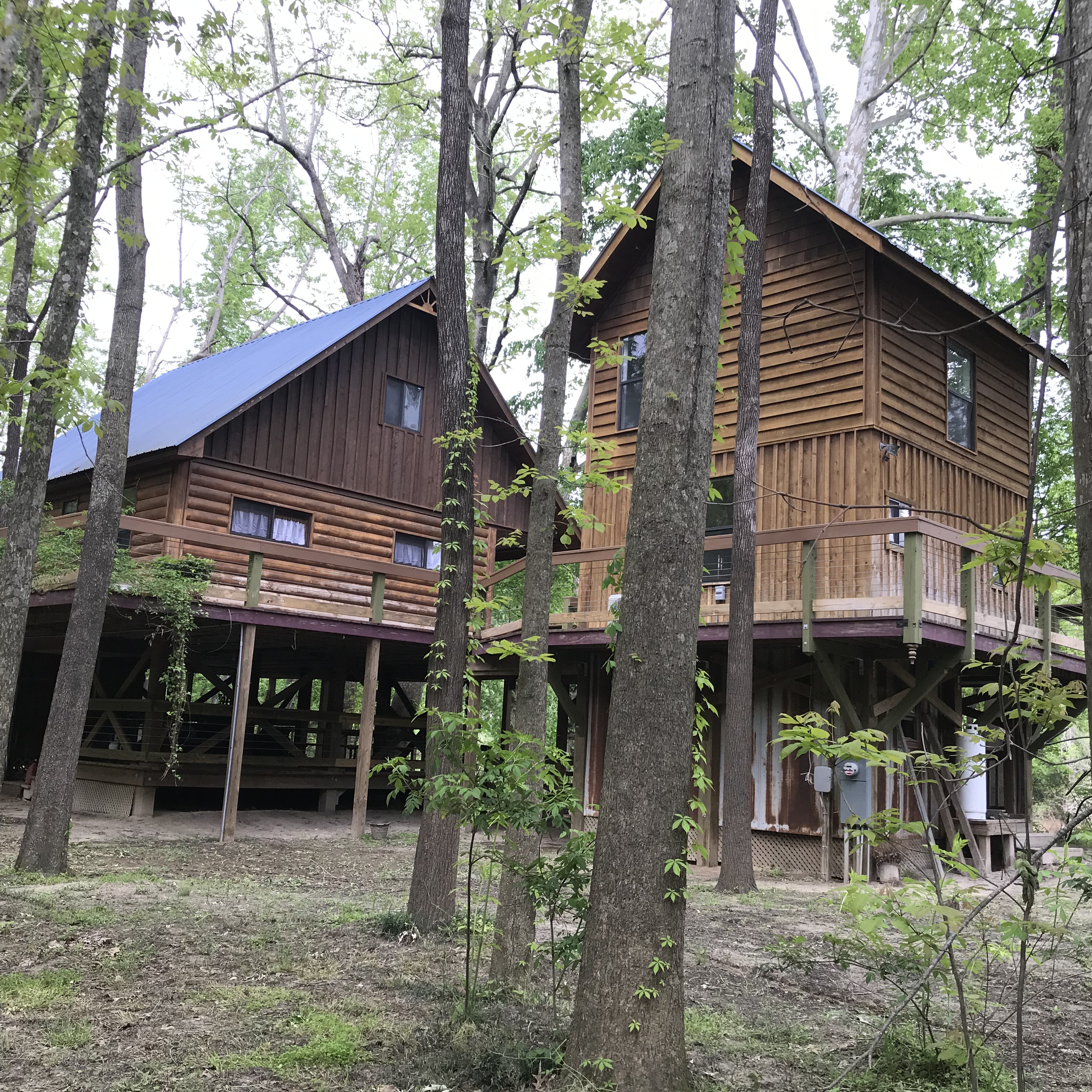 Mindfulness by the river